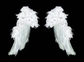 Significados do anjo número 55 – Por que você está vendo 55?