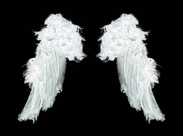 Significados do anjo número 55 – Por que você está vendo 55?