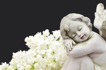 Significados do anjo número 533 – Por que você está vendo 533?