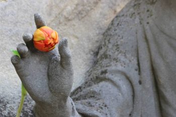 Anjo Número 858 Significados – Por que você está vendo 858?