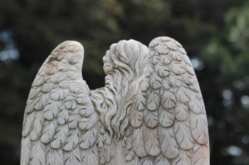 Significados do anjo número 700 – Por que você está vendo 700?