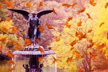 Significados do anjo número 234 – Por que você está vendo 234?