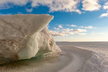 Significados do anjo número 955 – Por que você está vendo 955?