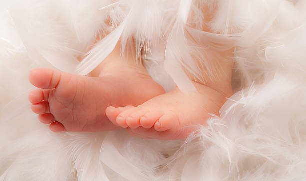 Significados do anjo número 848 – Por que você está vendo 848?