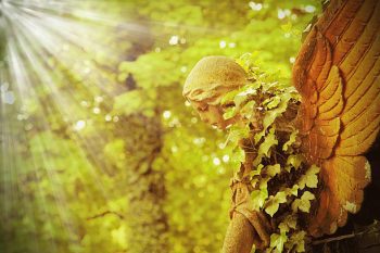 Significados do anjo número 909 – Por que você está vendo 909?