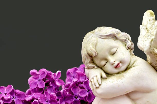 Significados do anjo número 2929 – Por que você está vendo 2929?