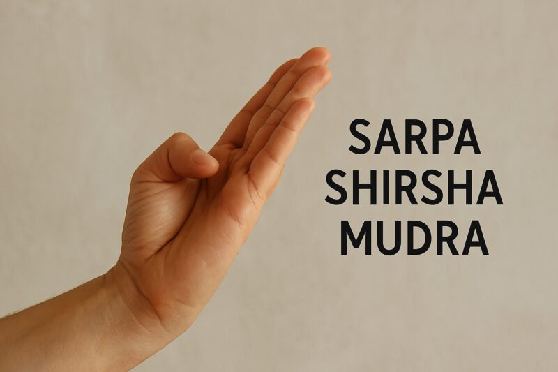 Sarpa Shirsha Mudra: O Poder Transformador da Postura Serpente