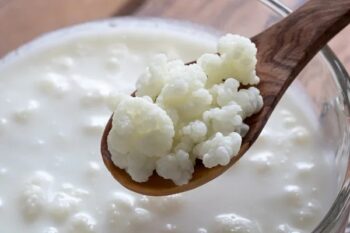 Kefir de Leite e Kefir de Água: Como Preparar, Benefícios e Dicas Atualizadas